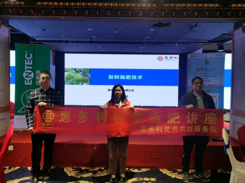 惠多利黨員服務隊為梨農(nóng)增收貢獻力量