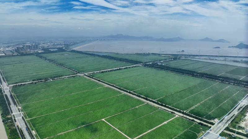 浙農(nóng)助力臺州農(nóng)業(yè)新飛躍 打造現(xiàn)代農(nóng)業(yè)服務(wù)新標(biāo)桿